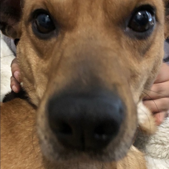 Meet your Posher, Alberto - Picture 1 of 1